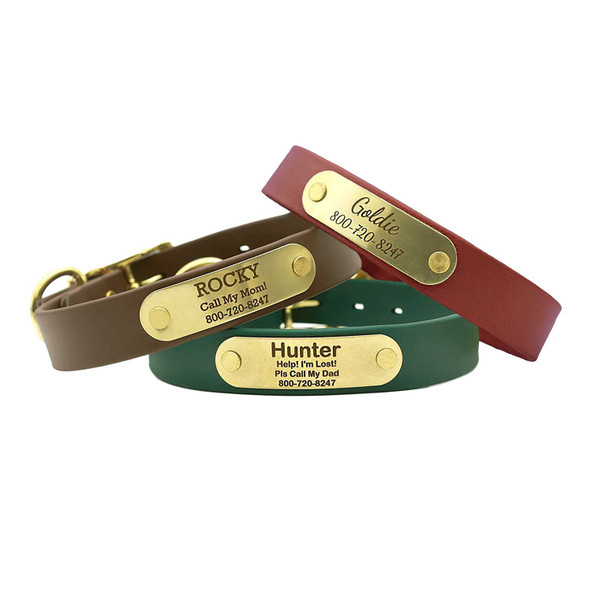 Waterproof Standard NamePlate Collar with Brass Hardware Group