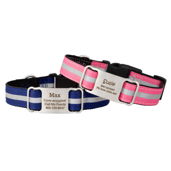 Reflective Ribbon Nylon ScruffTag Collar Group