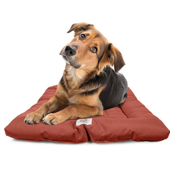 Brutus Tough Chew Resistant Comfort Cushion for Dogs with Dog Brutus Tough Chew Resistant Comfort Cushion for Dogs with Dog