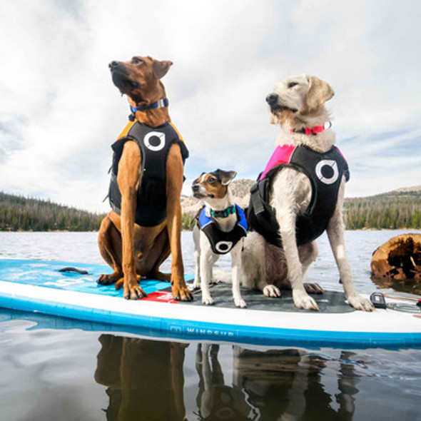 Float Doggy™️ Life Jacket for Dogs on Dogs Float Doggy™️ Life Jacket for Dogs on Dogs