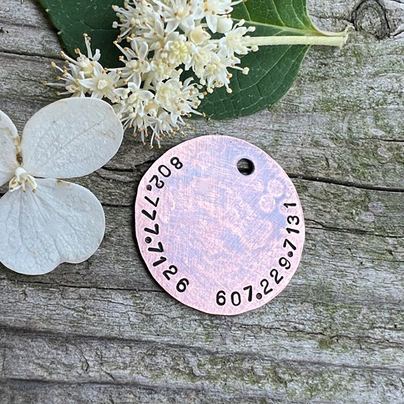 Starry Night Pet ID Tag Back of Tag with Contact Information