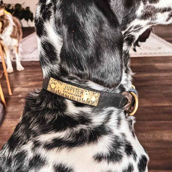 Starry Forest Night Rivet-On Dog Collar Name Plate Brass on Dog Starry Forest Night Rivet-On Dog Collar Name Plate Brass on Dog