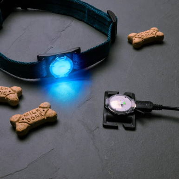 NiteDog Disc-O-Tech Rechargeable LED Slide-On Dog Collar Light Blue NiteDog Disc-O-Tech Rechargeable LED Slide-On Dog Collar Light Blue