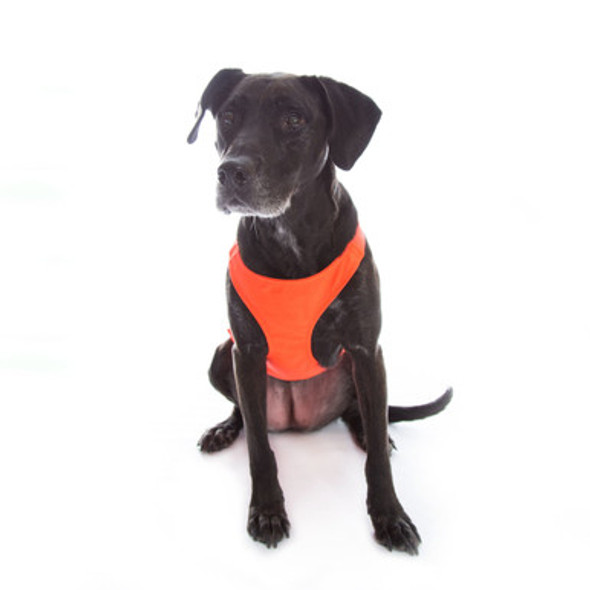 Skid Plate Chest Protector Dog Vest Skid Plate Chest Protector Dog Vest
