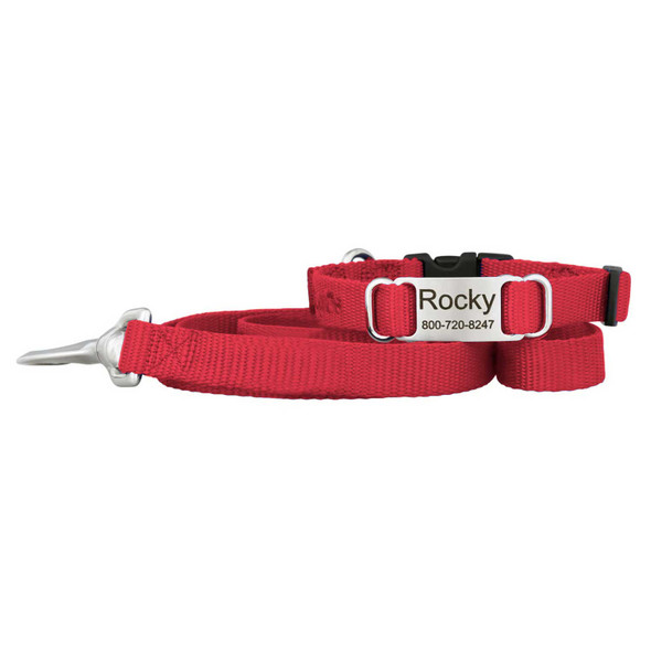 Nylon Pup Pack Red