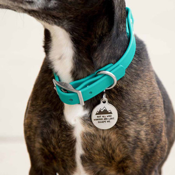 Not All Who Wander Are Lost Dog Tag - On Dog\n Not All Who Wander Are Lost Dog Tag - On Dog\n