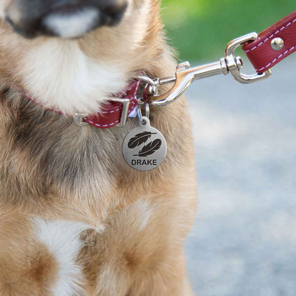 Feather Design Round Dog Tag On Dog