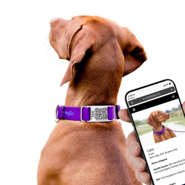 Waterproof QR Code ScruffTag Personalized Dog Collars Phone Scan Waterproof QR Code ScruffTag Personalized Dog Collars Phone Scan