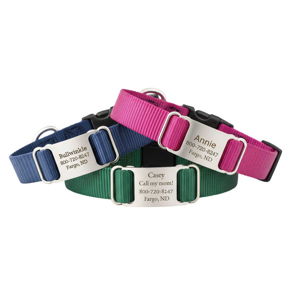 Nylon ScruffTag Personalized Dog Collar Group Raspberry Navy and Hunter Green