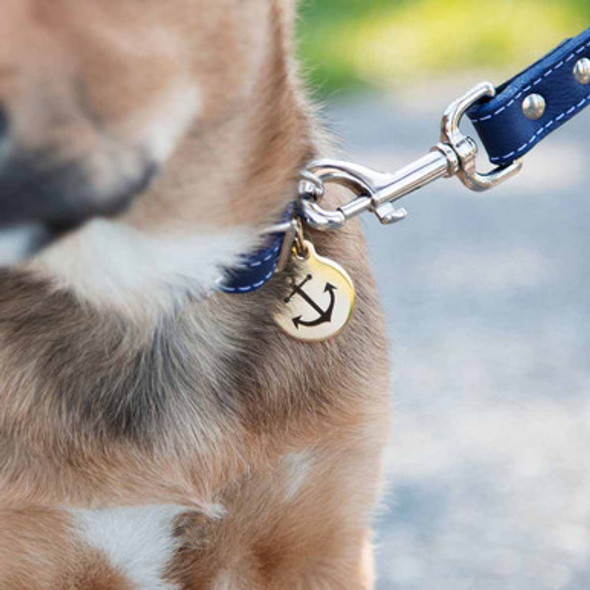Anchor Dog ID tag on Collar  Anchor Dog ID tag on Collar