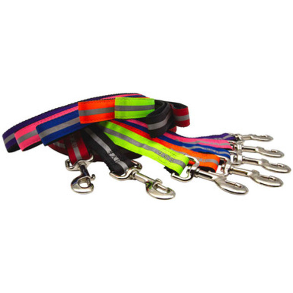 Embroidered Reflective Ribbon Nylon Dog Leashes Embroidered Reflective Ribbon Nylon Dog Leashes