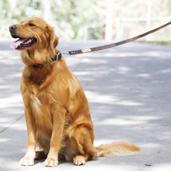 English Bridle Leather Leash with Personalized Name Plate English Bridle Leather Leash with Personalized Name Plate