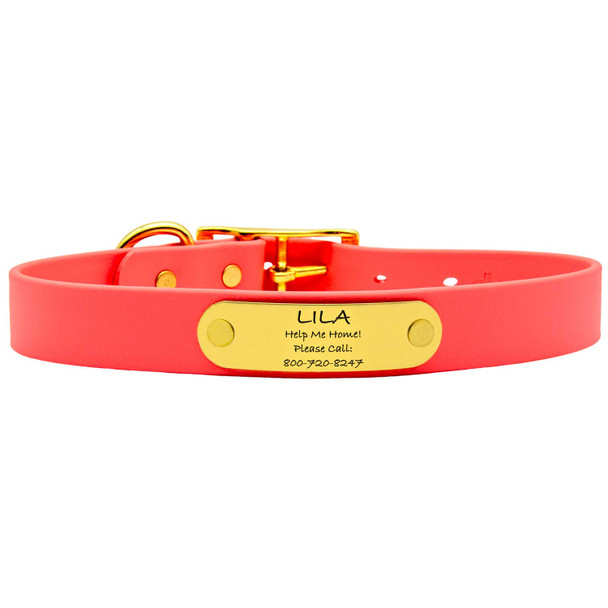 Waterproof Standard NamePlate Collar with Brass Hardware Coral