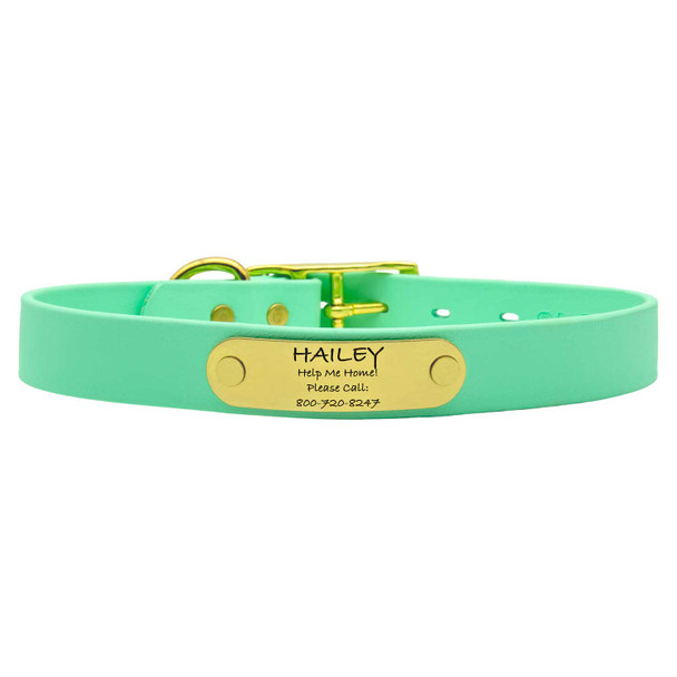 Waterproof Standard NamePlate Collar with Brass Hardware Mint