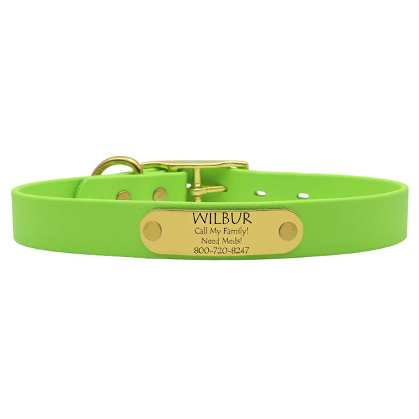 Waterproof Standard NamePlate Collar with Brass Hardware Margarita