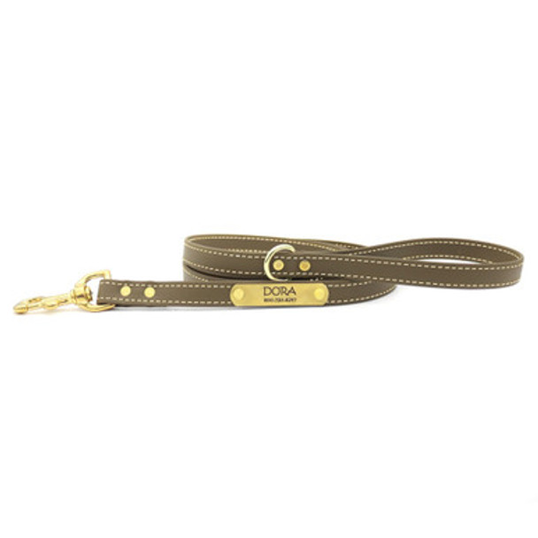 Waterproof Faux Leather Dog Leash with Nameplate Safe dogIDs