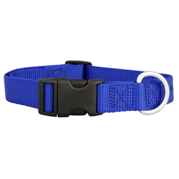 Nylon Dog Collar Blue dogIDs Nylon Dog Collar Blue dogIDs