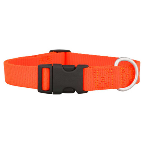 Nylon Dog Collar Orange dogIDs Nylon Dog Collar Orange dogIDs