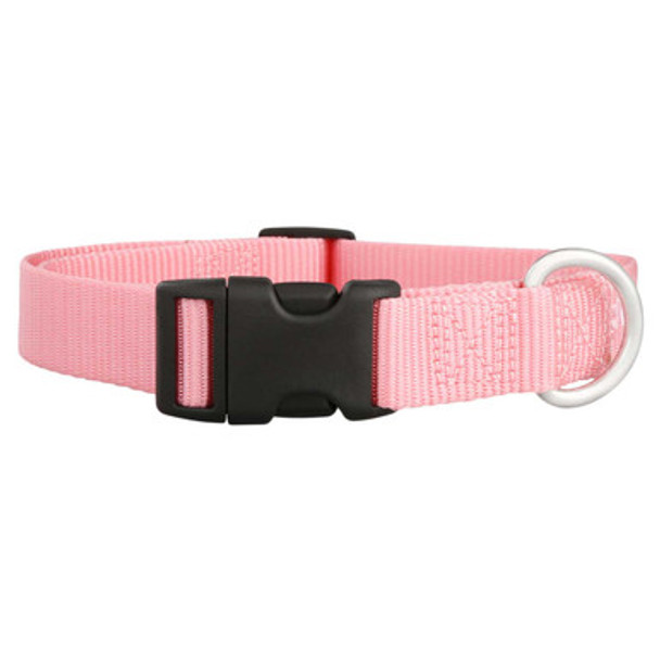 Nylon Dog Collar Pink dogIDs Nylon Dog Collar Pink dogIDs