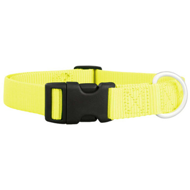 Nylon Dog Collar Neon Yellow dogIDs Nylon Dog Collar Neon Yellow dogIDs
