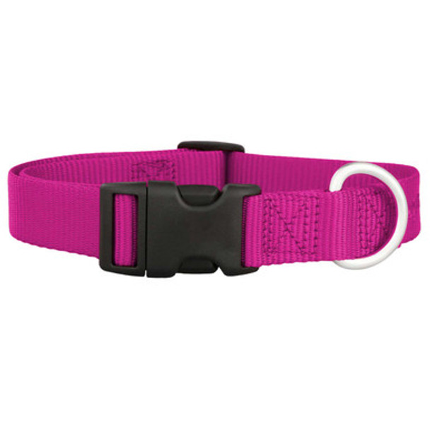 Nylon Dog Collar Raspberry dogIDs Nylon Dog Collar Raspberry dogIDs