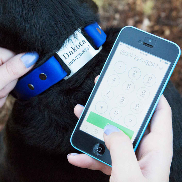 Waterproof ScruffTag Collar Calling With Phone