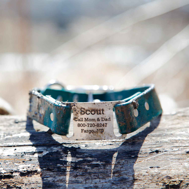 Waterproof ScruffTag Collar Teal Muddy On Log