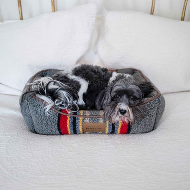 Pendleton Berber Kuddler Dog Bed Vintage Camp Heather Green with Small Dog on Bed
