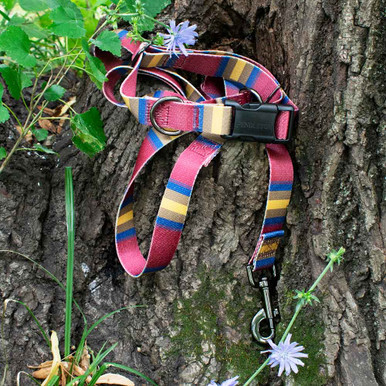 Pendleton Eco-Friendly Adventure Zion Collar & Leash Outdoor