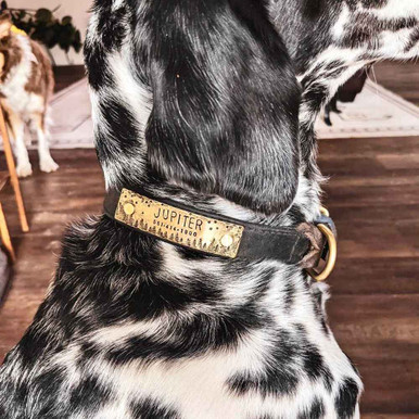Starry Forest Night Rivet-On Dog Collar Name Plate Brass on Dog