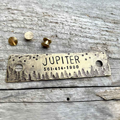 Starry Forest Night Rivet-On Dog Collar Name Plate Brass with Chicago Screws