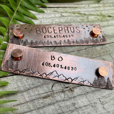Starry Forest Night and Mountain Rivet-On Dog Collar Name Plates Copper