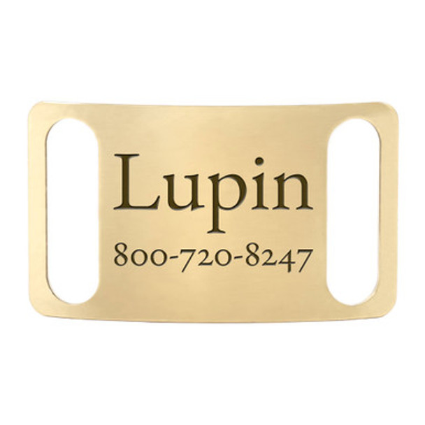 Slide-On ScruffTag Solid Brass dogIDs Slide-On ScruffTag Solid Brass dogIDs