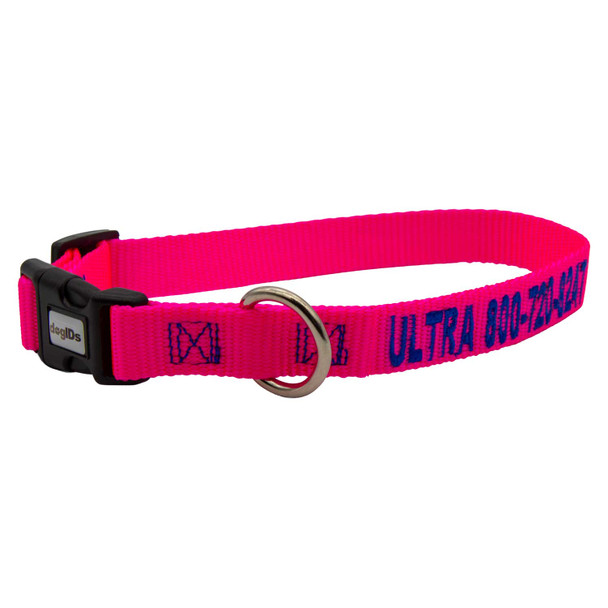 Embroidered Nylon Dog Collar Hot Pink with Blue Embroidery