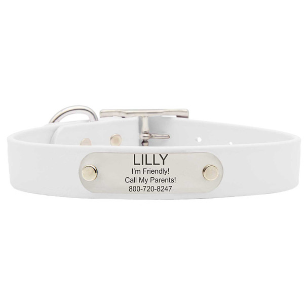 Waterproof Dog Collar with Personalized Nameplate White dogIDs