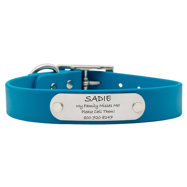 Waterproof Soft Grip Collar with Personalized Nameplate Tropical Blue dogIDs