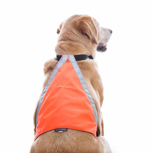 Mendota Visi-Vest Reflective Dog Vest on Dog Back dogIDs Mendota Visi-Vest Reflective Dog Vest on Dog Back dogIDs