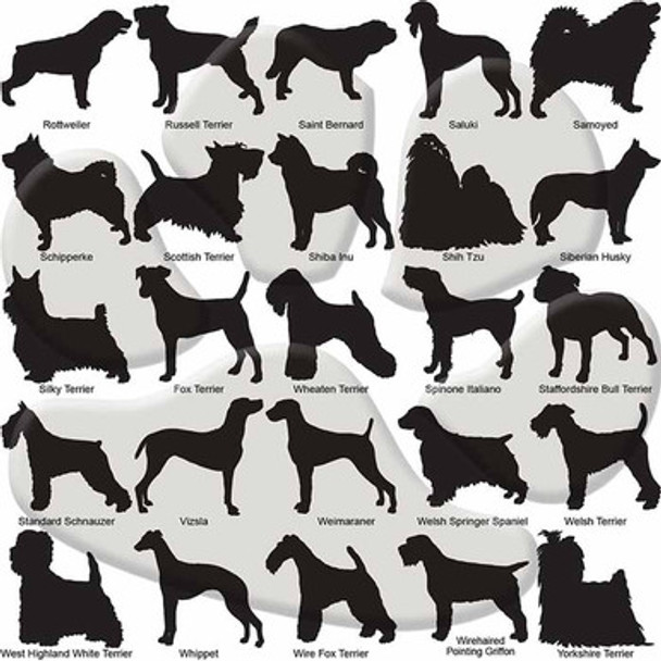 Custom Dog Breed ID Tags - Options 76 - 100 Custom Dog Breed ID Tags - Options 76 - 100