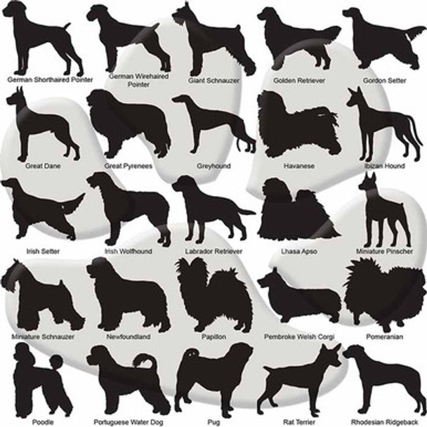 Custom Dog Breed ID Tags - Options 51 - 75 Custom Dog Breed ID Tags - Options 51 - 75