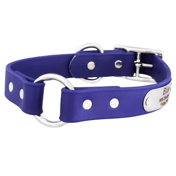 Waterproof Safety Collar with Nameplate Blue dogIDs