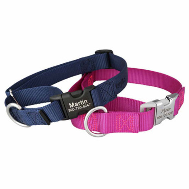 Martingale Dog Collar with Personalized Buckle Group