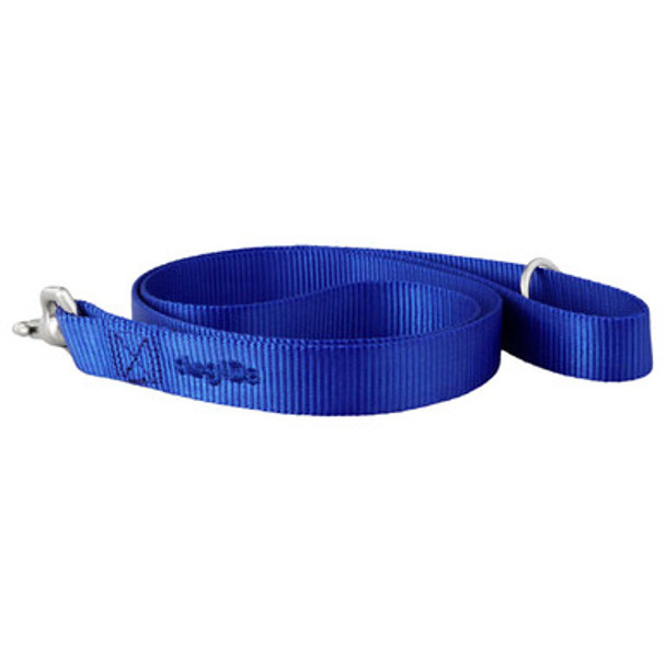 Nylon Matching Leash