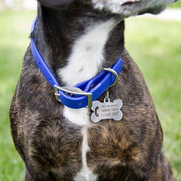 Call My People Pet ID Tag - On Dog Call My People Pet ID Tag - On Dog