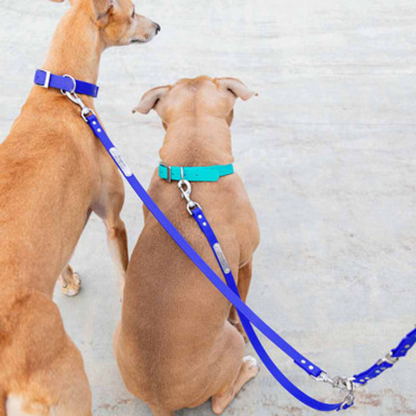 Waterproof Multi-Dog Leash on Two Dogs dogIDs Waterproof Multi-Dog Leash on Two Dogs dogIDs