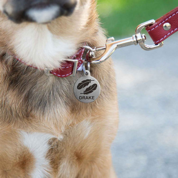 Feather Design Round Dog Tag On Dog