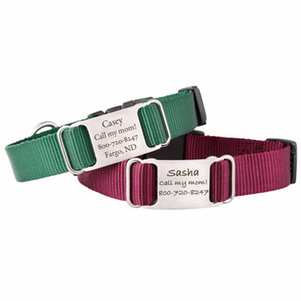 Nylon ScruffTag Personalized Dog Collar Group Nylon ScruffTag Personalized Dog Collar Group