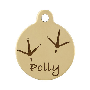 Pheasant Tracks on Brass