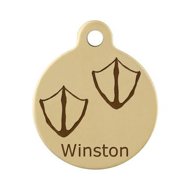 Duck Tracks on Brass