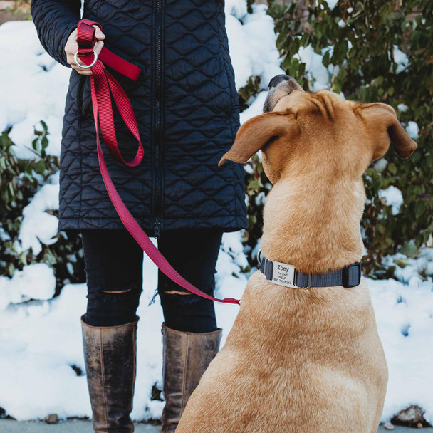 nylon leash lifestyle 