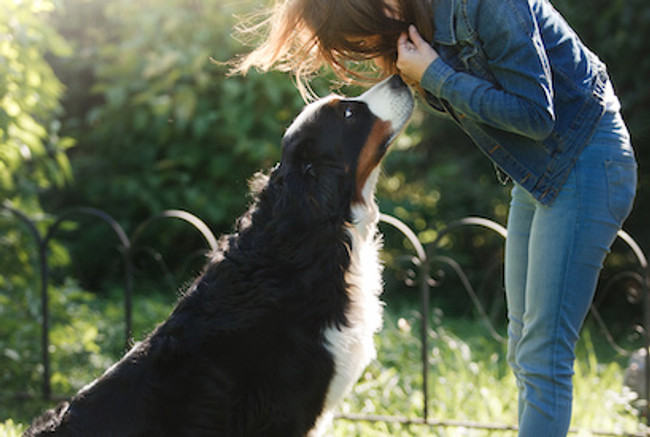 How to Stop a Dog from Whining for Attention